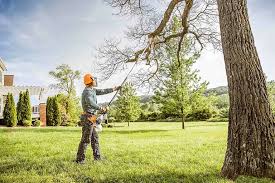 Trusted Mountain Road, VA Tree Services Experts